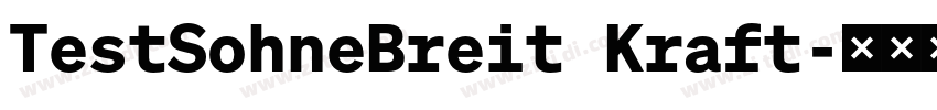 TestSohneBreit Kraft字体转换